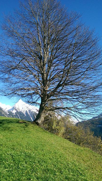 Gästehaus Tramnitz Mayrhofen Exterior foto